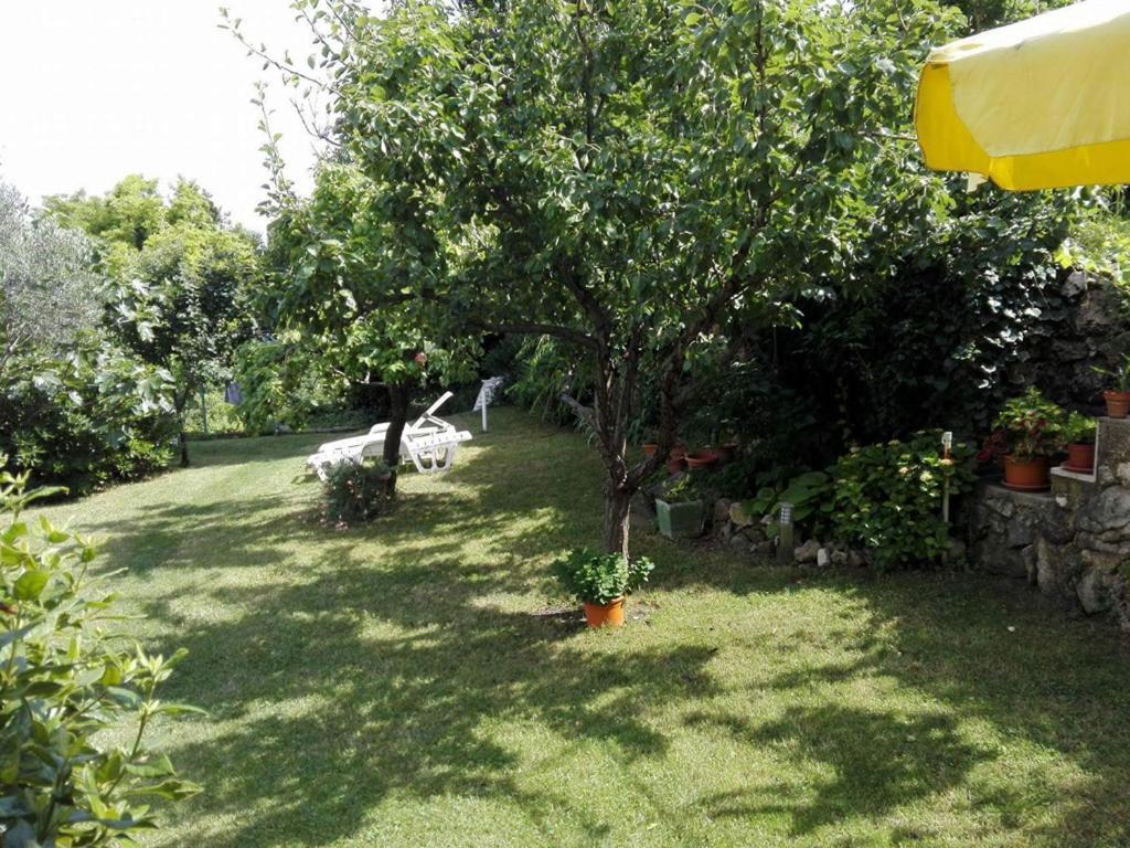 Apartments Jadranka With Magnificent Views Of The Sea - Baska Exteriör bild
